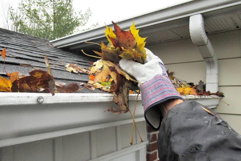 Fall Gutter Cleanup